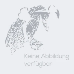 Fender Guard Yamaha XVS 1100 A Drag Star Classic