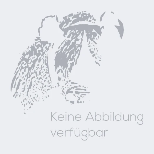 Fender Guard Yamaha XVS 650 Drag Star Classic 3 Fender Guard Yamaha XVS 650 Drag Star Classic